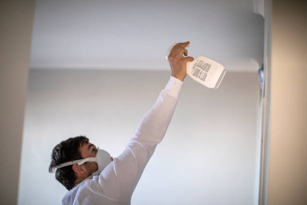 Best Affordable Mold Removal  in Nemacolin, PA