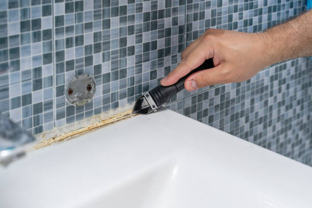 Best Home Mold Removal  in Nemacolin, PA