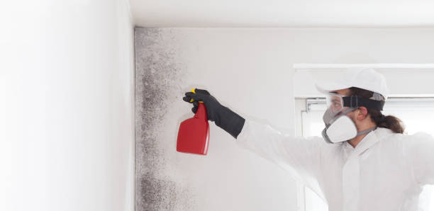 Best Mold Cleaning Services  in Nemacolin, PA