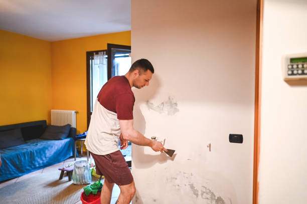 Trusted Nemacolin, PA Mold Removal Experts